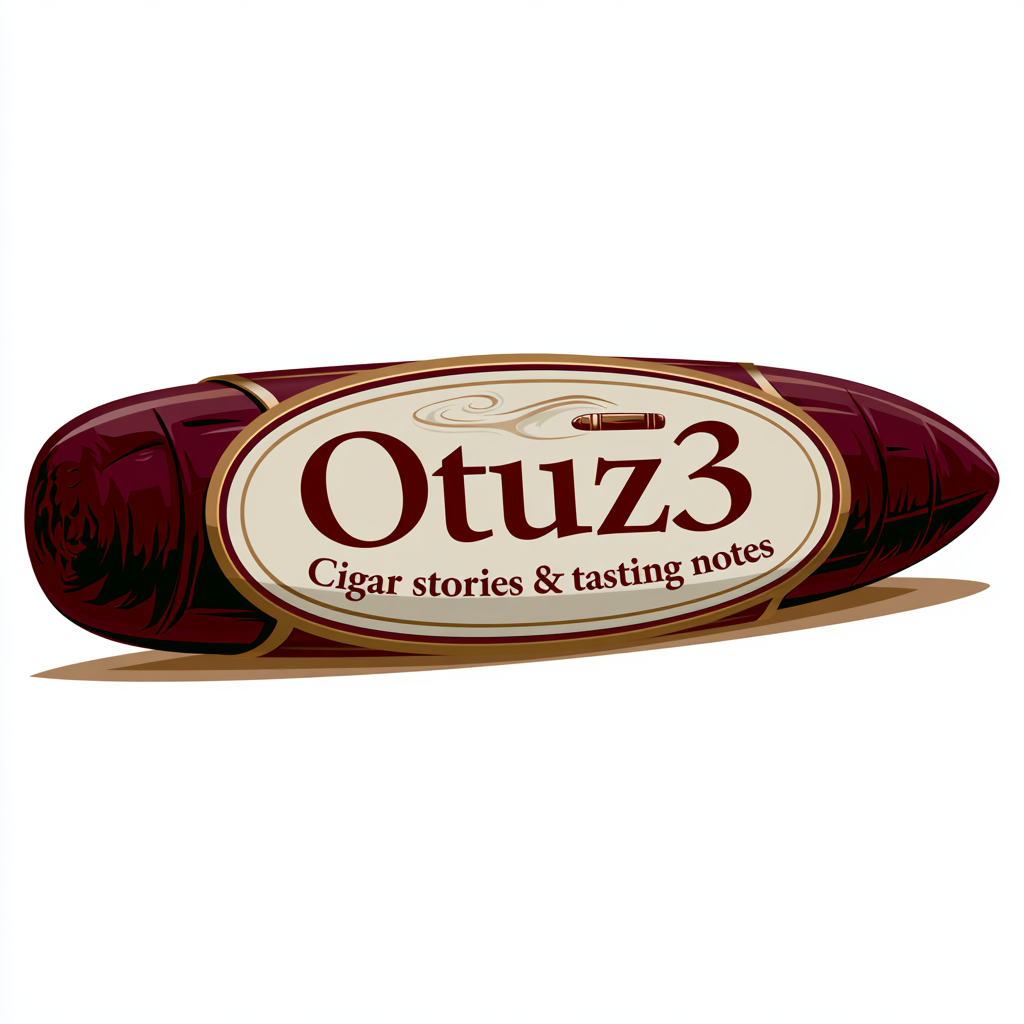 Otuz3 Logo